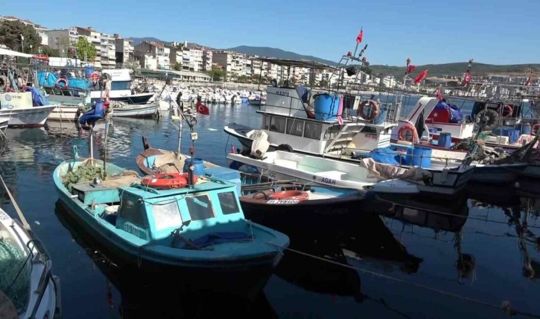 Marmara’nın emektar balıkçıları, müsilaj ve bilinçsiz avlanmadan şikayetçi Bursa’nın Gemlik ilçesinde geçimini balıkçılıklar, denizlerdeki balık popülasyonunun azalması, müsilaj