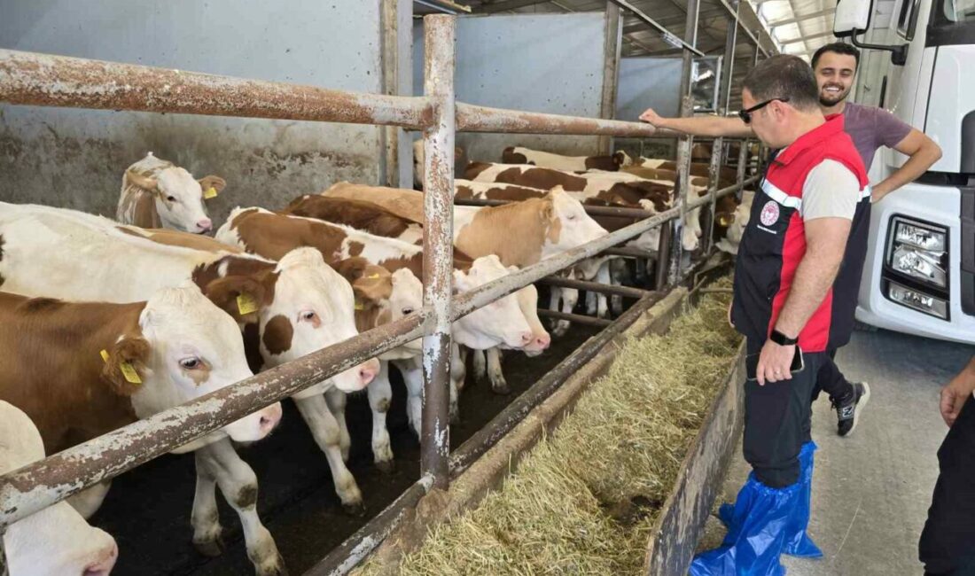 Orhaneli’de hayvan yetiştiren işletmeler kontrol edildi Bursa’nın Orhaneli ilçesinde Tarım ve Orman Müdürlüğü ekipleri hayvan yetiştiren