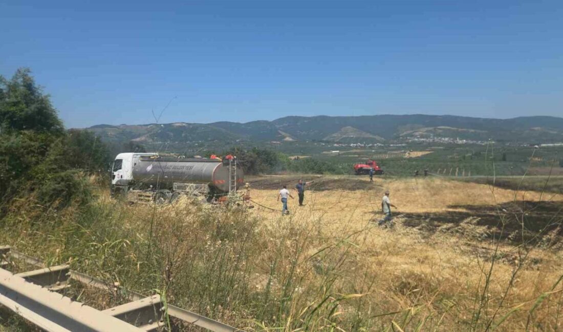 Otluk alanda çıkan yangın korkuttu Bursa-Yalova Karayolu Orhangazi Süpürgelik mevkiinde yol kenarındaki ağaçlık alan ile