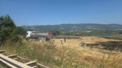 Bursa-Yalova Karayolu Orhangazi Süpürgelik mevkiinde yol kenarındaki ağaçlık alan ile
