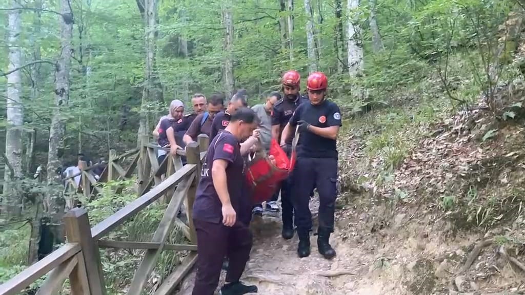 Oylat Şelalesi’nde düşen kadın, ekiplerin zorlu çalışmasıyla kurtarıldı Bursa’nın İnegöl ilçesinde bulunan Oylat Şelalesi’nde dengesini kaybederek düşen kadın