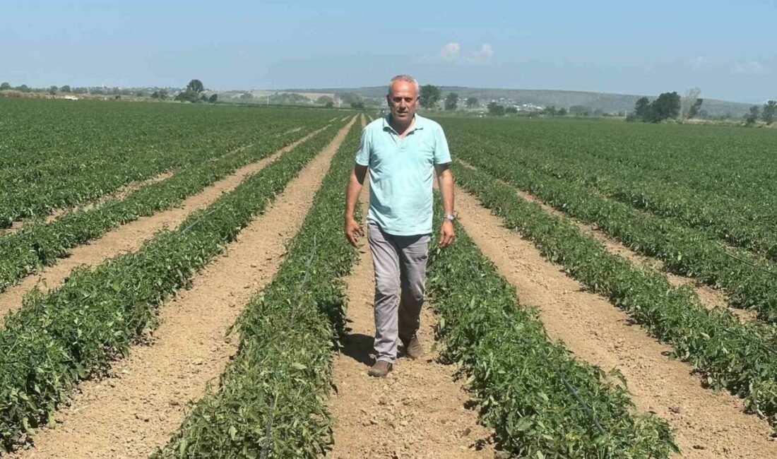 Bursa’nın Karacabey ilçesinde geçen yıl sözleşmeli üretim yapmasına rağmen alıcı