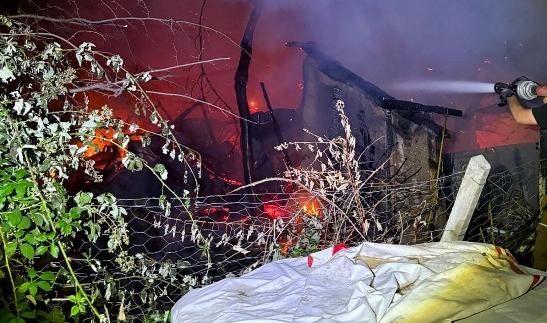 Yanan barakada mahsur kalan 60 yaşındaki adam hayatını kaybetti Bursa’nın İnegöl ilçesinde gece saatlerinde çıkan baraka yangını faciayla sonuçlandı.