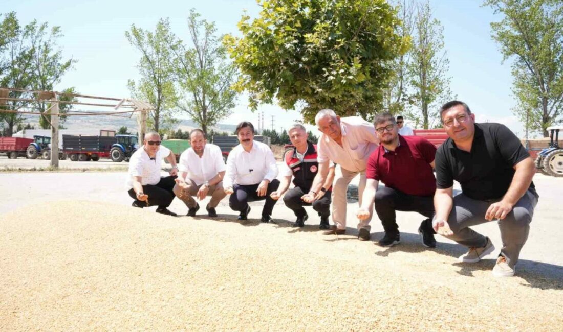 Yenişehir’de buğday alımları başladı: Başkan Ercan Özel’den üreti̇ciye tam destek Türkiye’nin en verimli tarım merkezlerinden biri olan Yenişehir’de, Toprak Mahsulleri