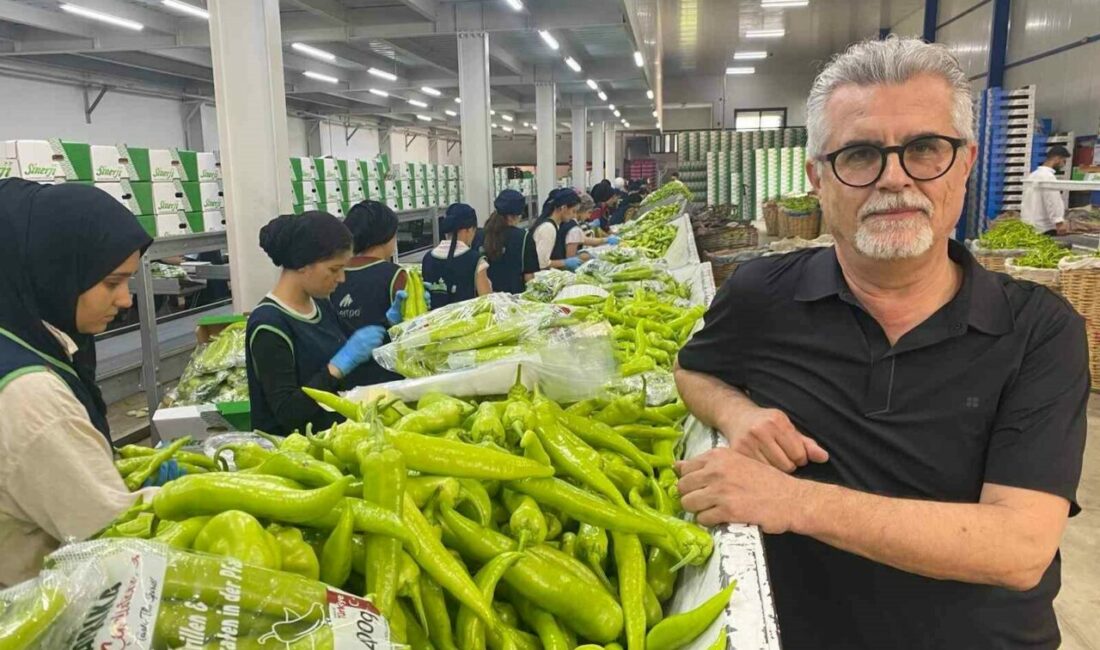 Avrupa sofralarının tercihi Bursa ürünleri Bursa’nın dünyaca ünlü siyah inciri ile Yenişehir’de yetiştirilen biber çeşitleri,