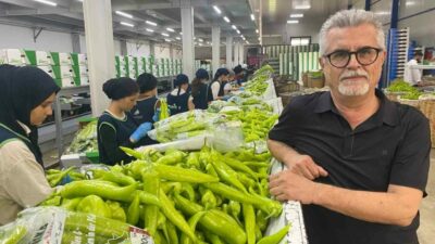 Bursa’nın dünyaca ünlü siyah inciri ile Yenişehir’de yetiştirilen biber çeşitleri,
