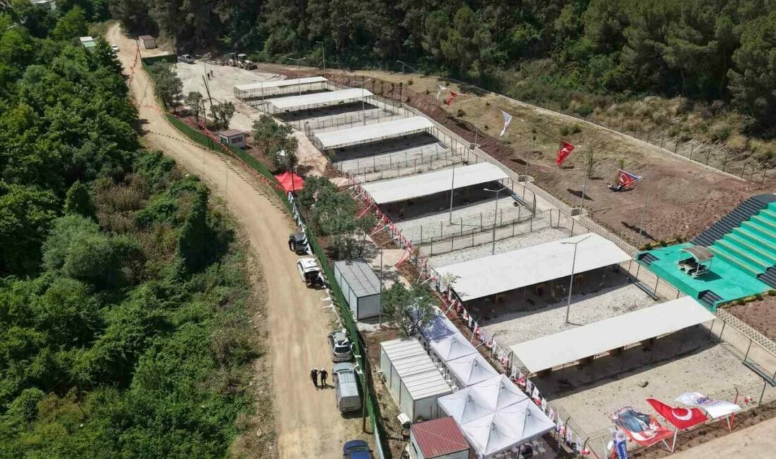 Bursa Hayvan Hakları Platformu’ndan Gemlik Belediyesi’ne tepki: “Kapıları açın” Bursa Hayvan Hakları Platformu, Gemlik Belediyesi Hayvan Yaşam Alanı’nın vatandaş
