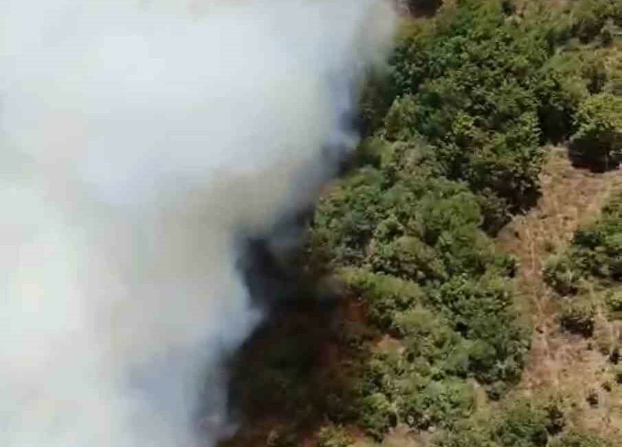 Bursa’da bir orman yangını daha Bursa’nın Kestel ilçesinde 3 ayrı noktadaki yangın söndürülürken, Yenişehir ilçesinde