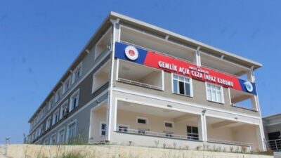 Bursa’nın Gemlik ilçesinde yüksek gerilim direği yakınında hareketsiz halde bulunan