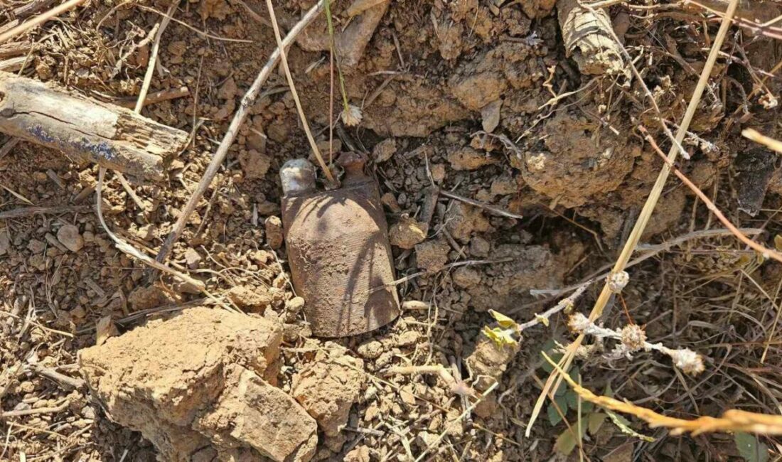 Bursa’da kurtuluş savaşından kalma el bombaları bulundu Bursa’nın Orhangazi ilçesinde bir vatandaşın tarla yakınındaki boş arazide bulduğu