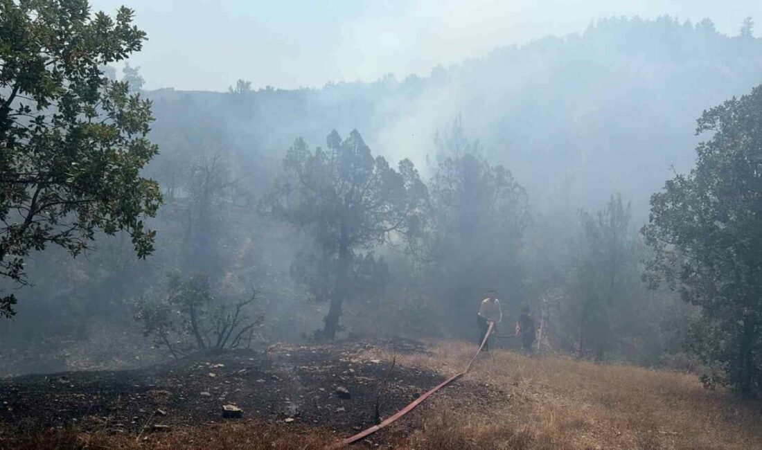 Bursa’da orman yangınına havadan ve karadan müdahale Bursa’nın Büyükorhan ilçesinde çıkan orman yangını, kontrol altına alındı. Bölgede