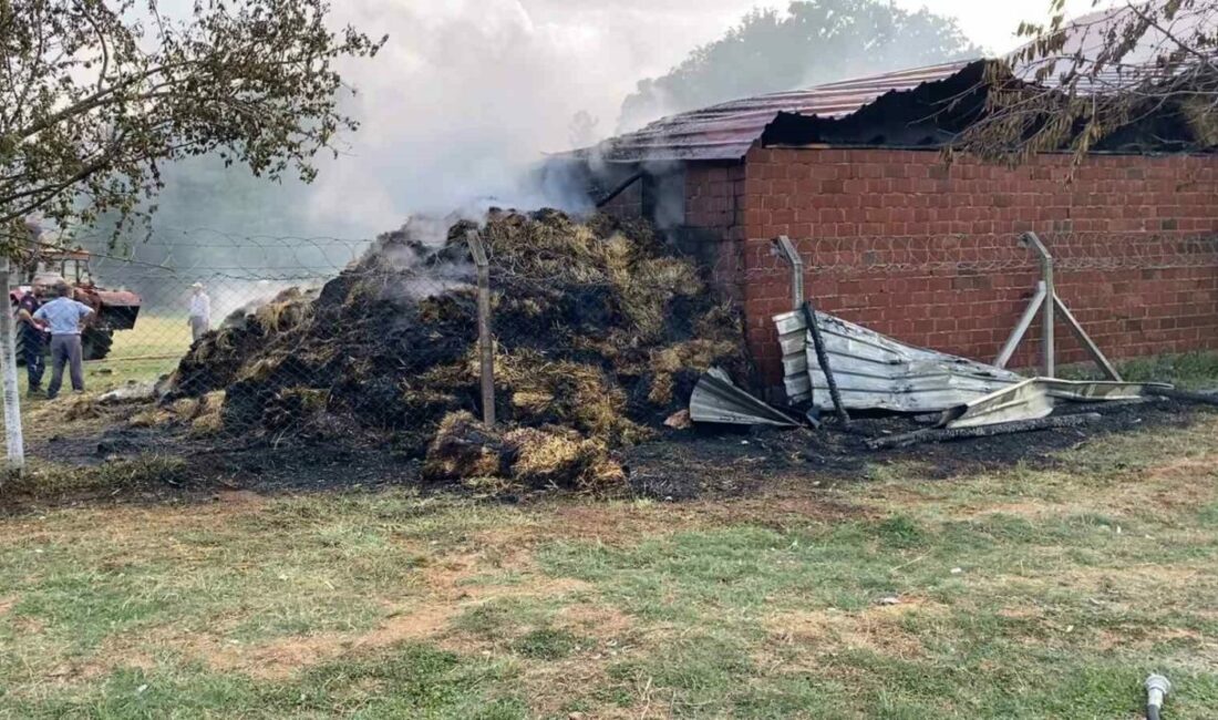 Bursa’da samanlık alevlere teslim oldu Bursa’nın İnegöl ilçesinde samanlıkta çıkan yangın, itfaiye ekiplerinin yaklaşık 1