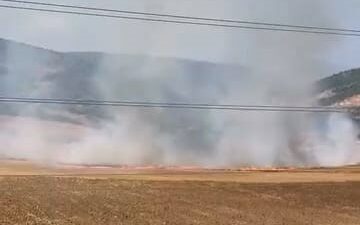 Bursa’nın İnegöl ilçesinde tarlalık alanı ateşe veren 16 yaşındaki şüpheli,