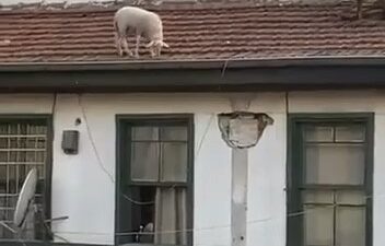 Bursa’da bir kahvehanede oyun oynayan şahıslar, karşı evin çatısında bulunan