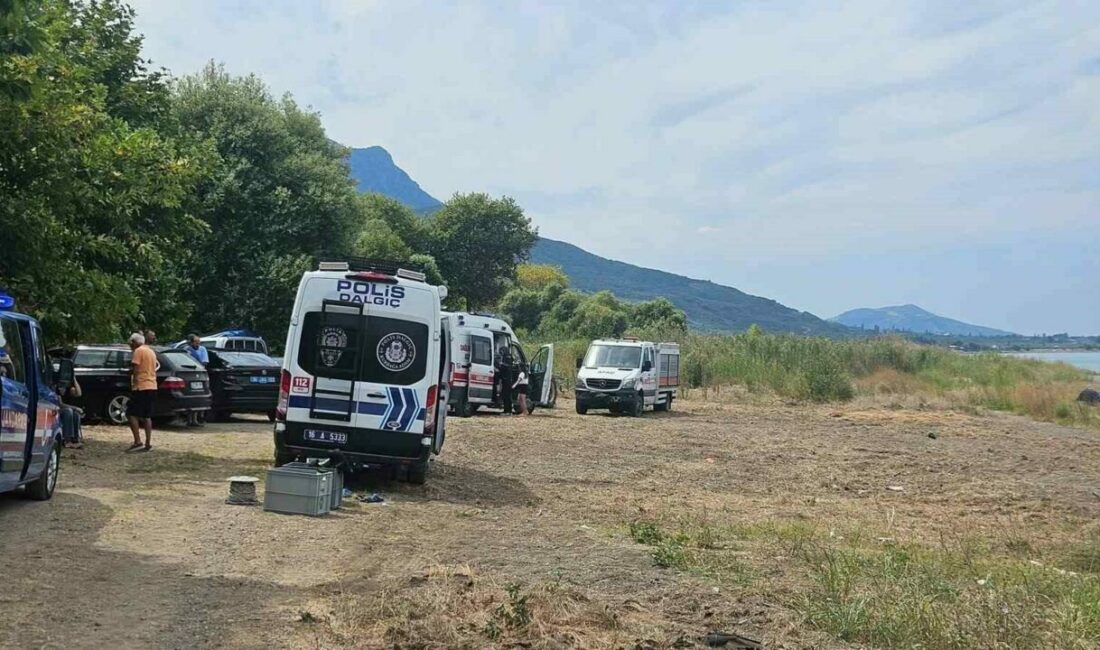 Bursa’nın Orhangazi ilçesinde İznik Gölü’nün Dutluca Sahili’nde serinlemek için suya