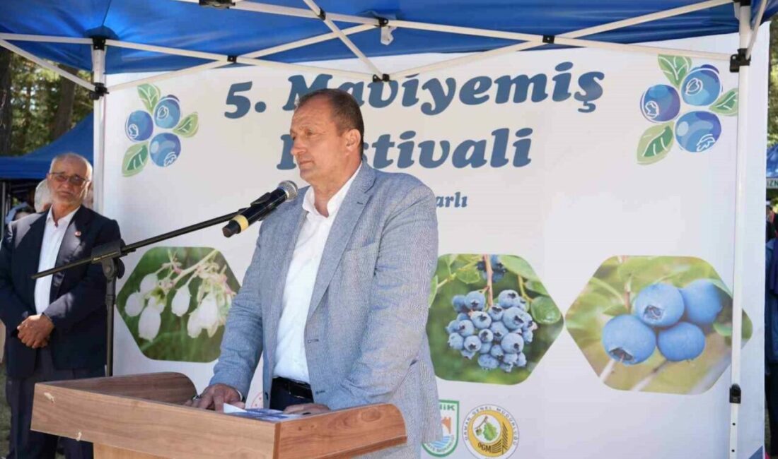 İznik’te 5. Maviyemiş Festivali’ne yoğun ilgi İznik Belediyesi, ilgili kurumlar ve Candarlı Mahalle Muhtarlığı iş birliğiyle