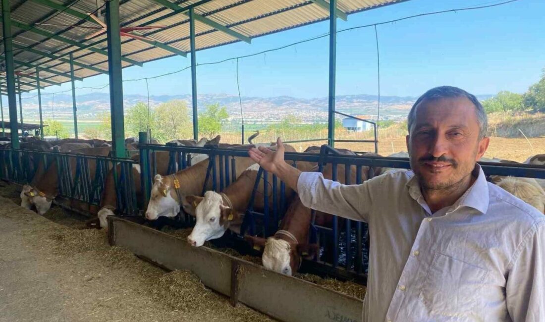 Kaliteli süt nasıl olmalı Bursa’daki süt üreticileri teknolojik ürünler sayesinde Avrupa standartlarında süt üretimi