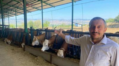 Bursa’daki süt üreticileri teknolojik ürünler sayesinde Avrupa standartlarında süt üretimi