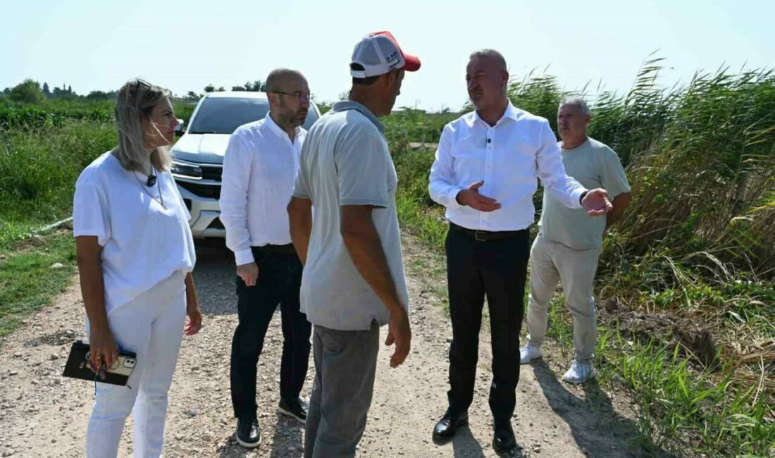 Karacabey Belediyesi kırsaldaki arazi yollarını düzenleniyor Karacabey Belediyesi, kırsal mahallelerde ulaşım altyapısını güçlendirmek ve tarımsal üretim