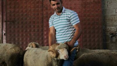 Balıkesir’in Bandırma ilçesindeki Bandırma Koyunculuk Araştırma Enstitüsü bünyesinde gerçekleştirilen açık