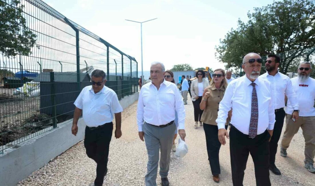 Nilüfer’de sahipsiz hayvanlar için yeni yuva Nilüfer Belediyesi, Karacaoba Mahallesi’nde 49 bin 500 metrekarelik alanda hizmet