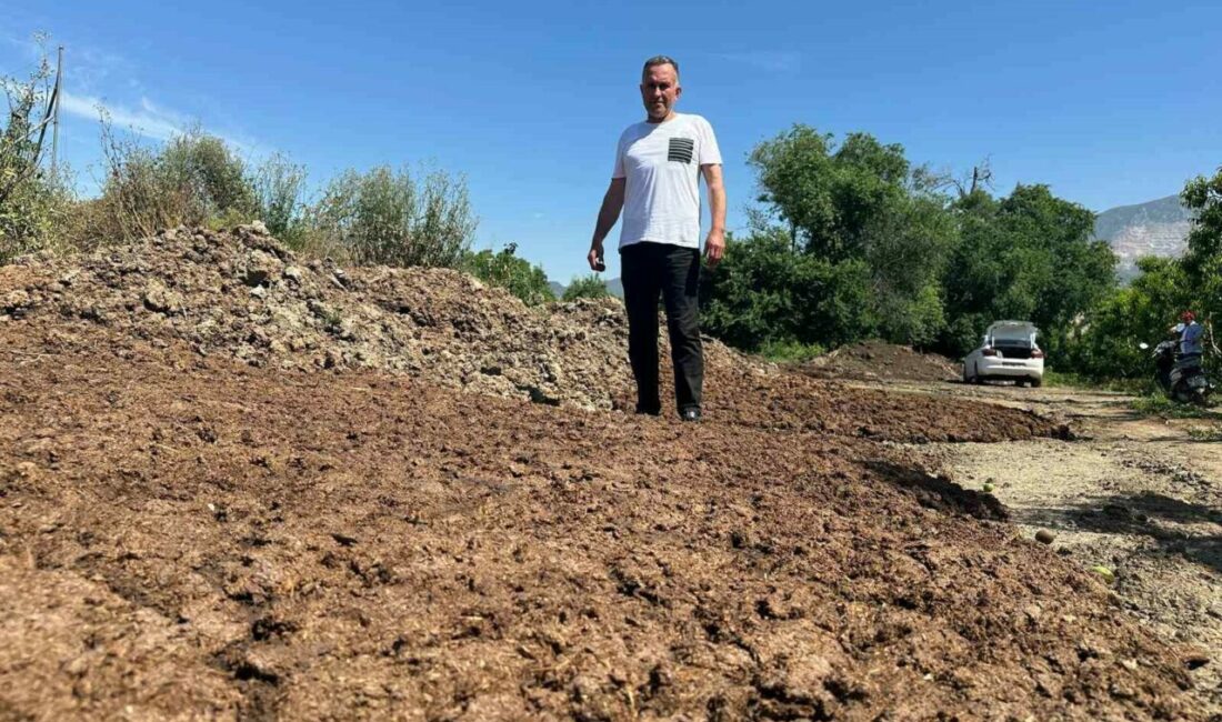 Sıfır kimyasal sıfır maliyet: Bedava hayvansal gübreyle üretim yapıyor Bursa’nın Gürsu ilçesinde meyve üreticiliği yapan Mehmet Yıldırım, bahçesinde kimyasal