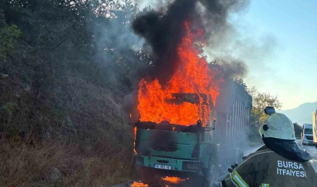 Bursa’nın İnegöl ilçesinde seyir halindeki talaş yüklü tırın motor kısmında