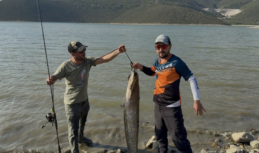 Turna avına çıkan balıkçıların oltasına 127 santimlik dev yayın takıldı Bursa’nın Kestel ilçesinde Gölbaşı’nda turna avına çıkan sportif balıkçılar Ali
