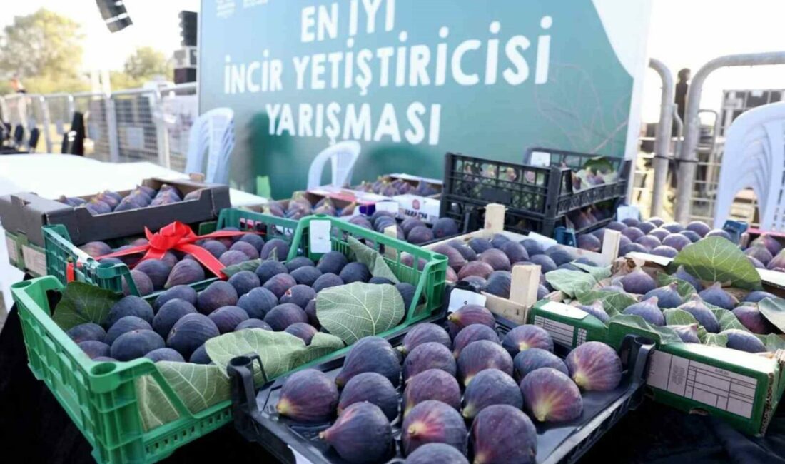 12. Akçalar Fadıllı İncir Festivali 13 Eylül’de Akçalar Göl Kıyısı’nda Nilüfer Belediyesi’nin gelenekselleşen 12. Akçalar Fadıllı İncir Festivali, 13 Eylül