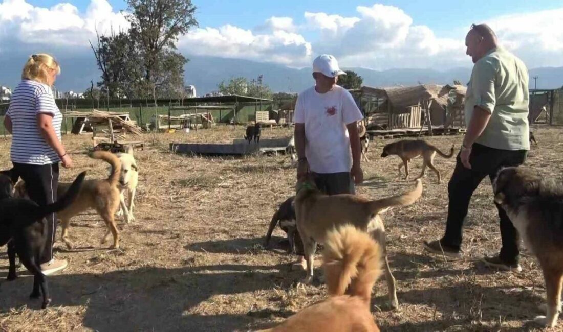 18 yıllık gönüllülük, 4,5 dönümlük yaşam evine dönüştü…130 cana yuva oldular Bursa’da yaklaşık 18 yıl önce sokak hayvanlarını beslemek için gönüllü