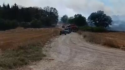 Bursa’nın Nilüfer ilçesinde Büyükbalıklı ile Çekrice mahalleleri arasında kalan bölgede