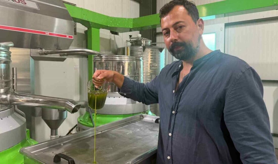 Avrupa ilaç yerine ilk hasat zeytinyağı içiyor Bursa’nın İznik ilçesine bağlı Göllüce Mahallesi’nde zeytin üreticisi Oğuz Yıldırım,