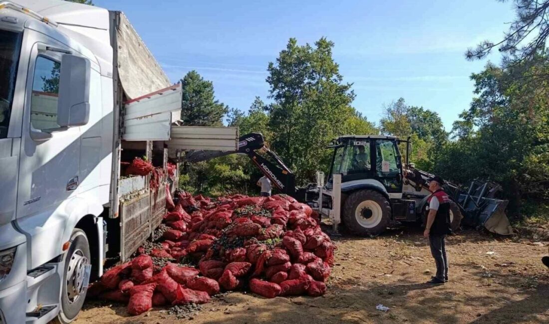 Bursa’da 8 ton midye ele geçirildi Bursa’nın Orhangazi ilçesinde İlçe Tarım ve Orman Müdürlüğü ile jandarma