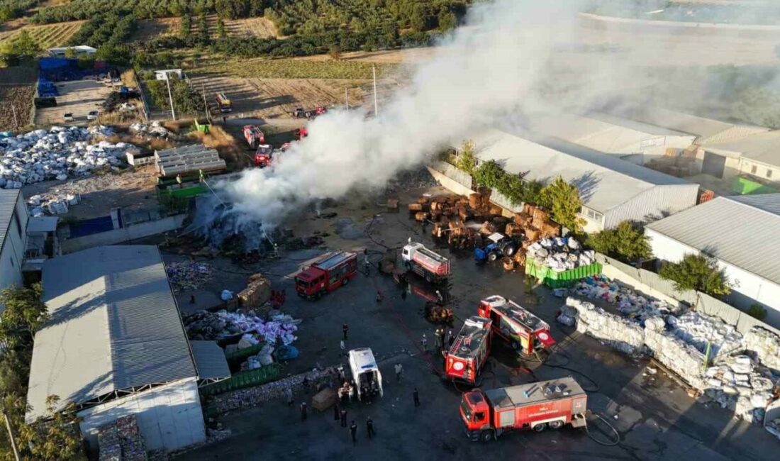 Bursa’da geri dönüşüm deposunda korkutan yangın Bursa’da geri dönüşüm deposunda çıkan yangın korkuttu. Yangına 8 itfaiye