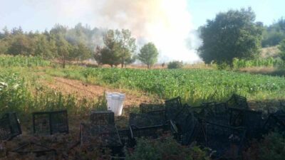 Bursa’nın Kestel ilçesinde ormanlık alanda çıkan yangına havadan ve karadan