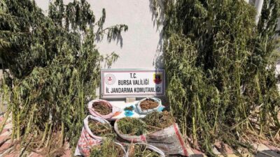Bursa’nın Karacabey ilçesinde jandarma ekipleri tarafından düzenlenen uyuşturucu operasyonunda 22