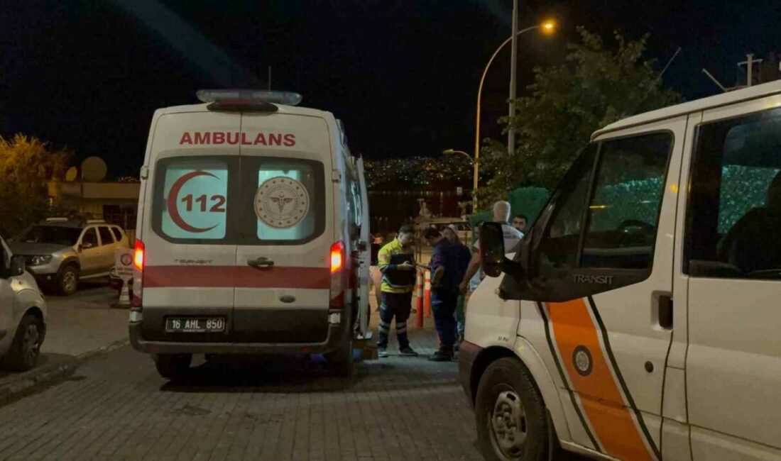 Bursa’nın Gemlik ilçesinde üniversite kampüsü içerisindeki iskeleden denize düşen üniversite