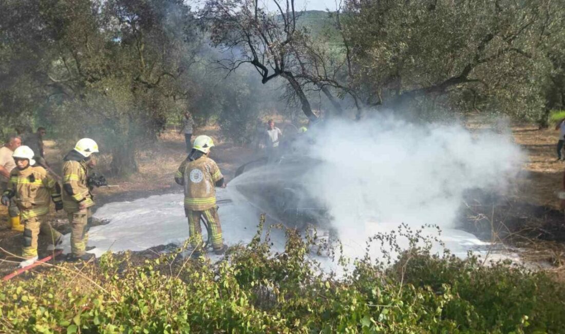 Bursa’nın Orhangazi ilçesinde İznik Yolu üzerinde meydana gelen feci trafik