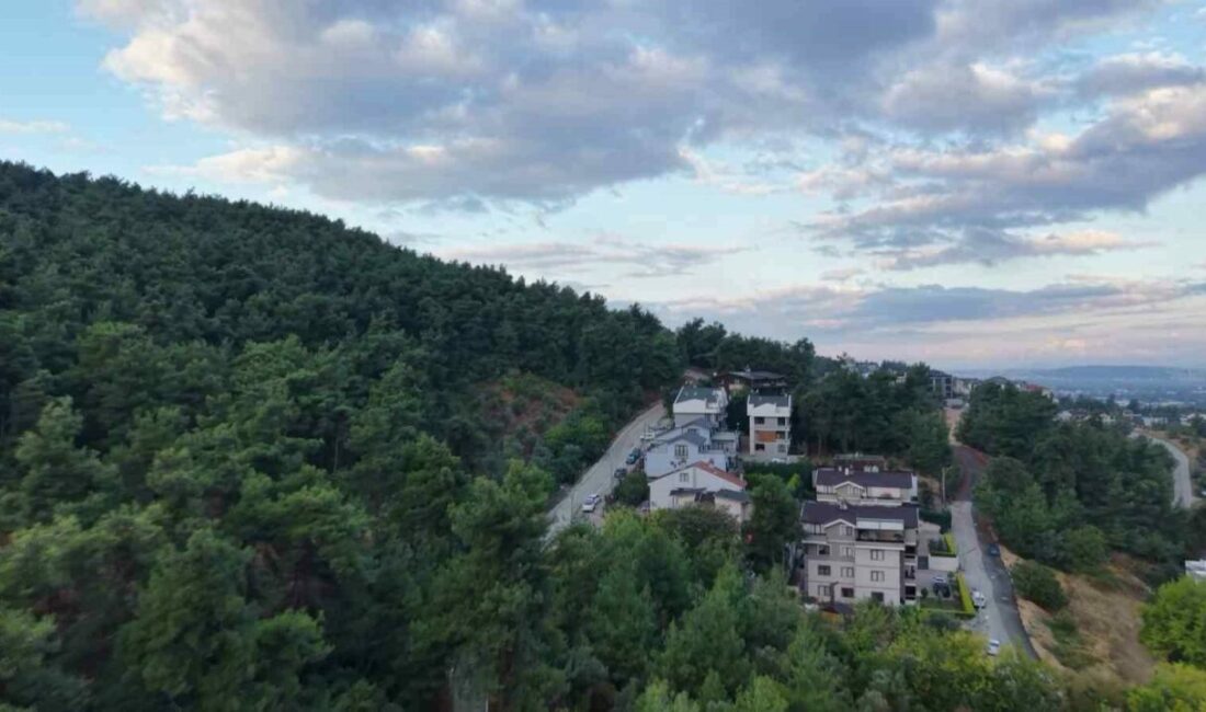 Mahallede ’Ayı’ korkusu Bursa’nın Nilüfer ilçesine bağlı Çalı Mahallesi’nde, ormanın yakınındaki yerleşim alanında
