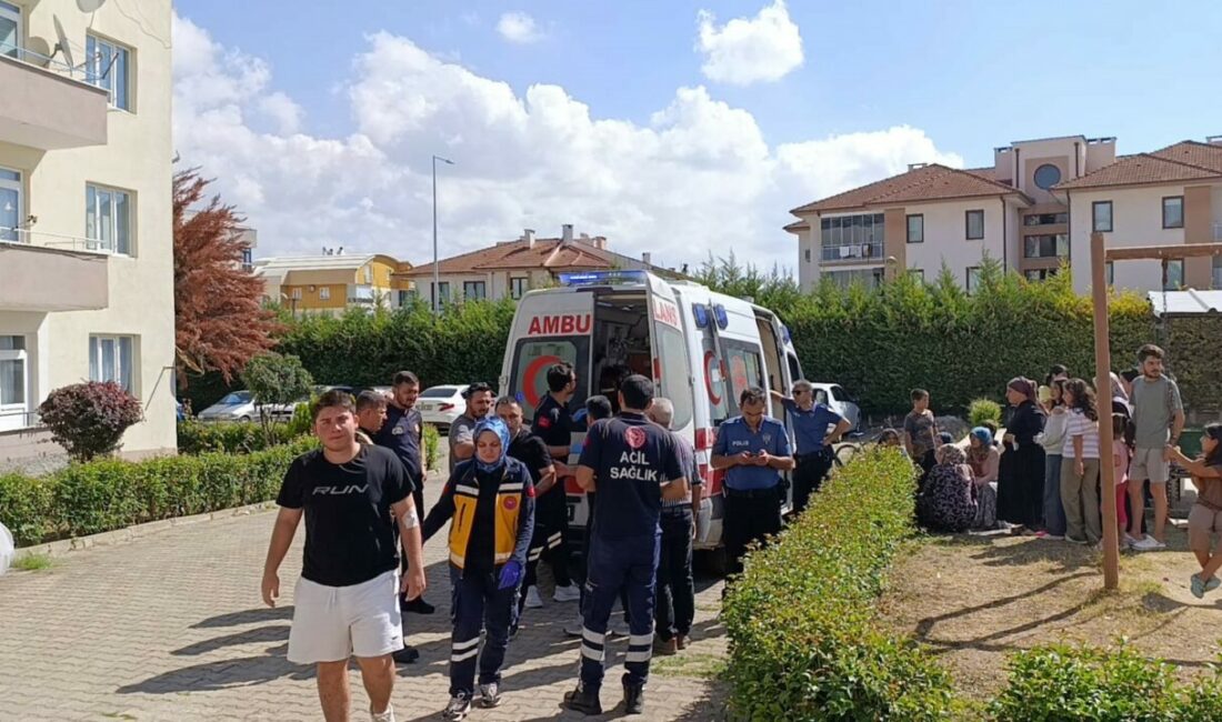 Bursa’nın İnegöl ilçesinde bir apartman dairesinin mutfağında çıkan yangın paniğe