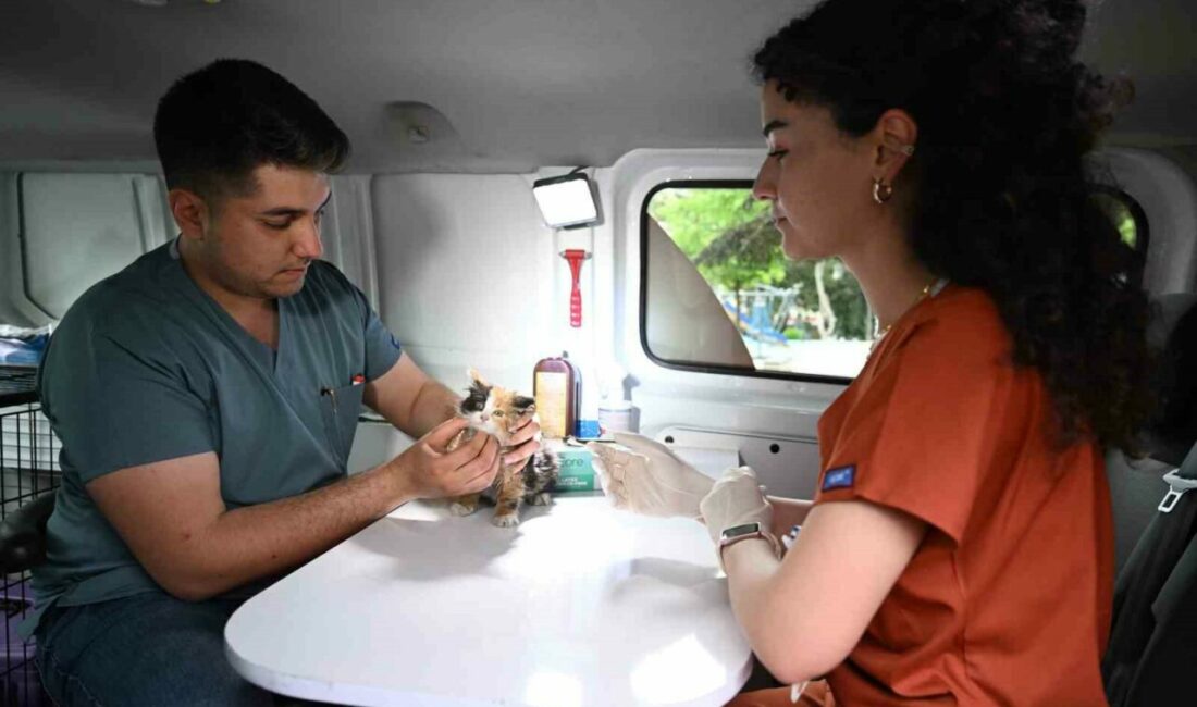 Sahipsiz sokak hayvanlarına ‘PATİVET’ şefkati Yıldırım Belediyesi, hayata geçirdiği Gezici Mobil Sokak Aracı (PATİVET) ile