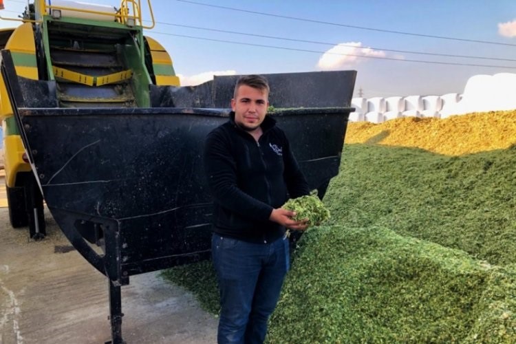 Silajlık mısıra ve samana talep arttı Süt ve et hayvancılığında yem fiyatları artarken, besiciler maliyetleri azaltmak
