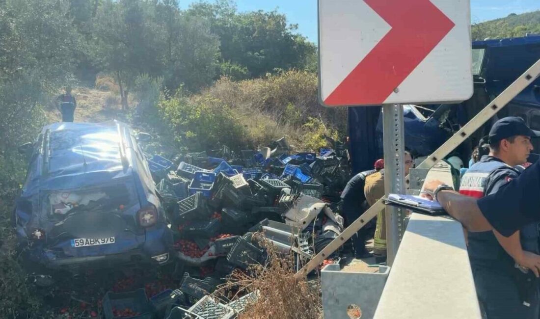 Virajı alamayan kamyon dehşet saçtı: 1 ölü, 1 yaralı Bursa’nın İznik ilçesinde virajı alamayan kamyon, yol kenarında park halinde