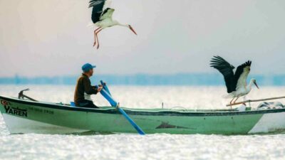Bursa’da her yıl Eskikaraağaç Leylek Köyü’ne gelerek balıkçı Adem Yılmaz’la