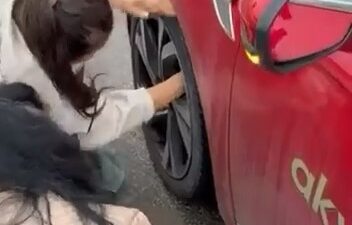 Bursa’da bir anda ana artere çıkan yavru kedi, sürücülerin yavaşlaması
