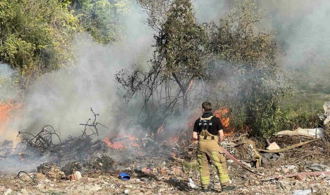 Bursa’nın Mudanya ilçesi ormanlık alanda yakılan ateşin çevredeki kuru ot