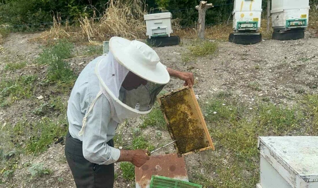 50 yıllık arıcı emekli başgardiyan 20 yıldır Avrupa’ya bal gönderiyor Bursa’nın Mustafakemalpaşa ilçesine bağlı Karaoğlan Mahallesi’nde yaşayan 75 yaşındaki emekli