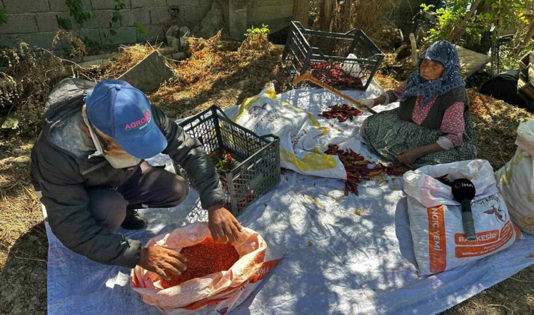 90 yaşındaki annenin evlat sevgisi acı biberi tatlı kıldı Bursa’nın Karacabey ilçesinde yaşayan 90 yaşındaki Şükriye İnan, yüksek işçilik
