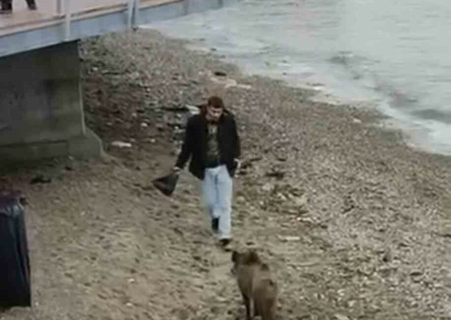 Bursa’da aç kalan domuz Mudanya sahiline indi Bursa’nın Mudanya ilçesinde yiyecek arayışına çıkan yaban domuzu sahile kadar