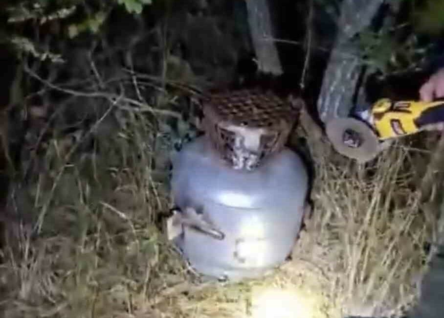 Bursa’da gerçekleştirilen av koruma ve kontrol faaliyetlerinde, yasa dışı avcılıkta